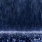 Picture for song 'Rain' by artist 'Jeff Armstrong'