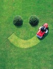 Picture for song 'Who's Gonna Mow Your Grass?' by artist 'Jimi Sweeney'