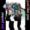 Picture for song 'Just Like You' by artist 'Jim Parker'