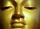 Picture for song 'Meditation(Musical Medication)' by artist 'J R Rivers'