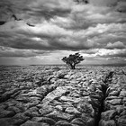 Picture for song 'Isolation' by artist 'J-Star On The Beat'