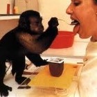 Picture for song 'Prometheus the Helper Monkey' by artist 'jTRAX (PGH)'