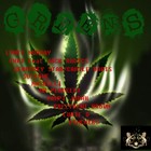 Picture for song 'UNGRATEFULNESS - Prezident Brown' by artist 'Judasha Production'