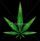 Picture for song 'Get High At Rayong' by artist 'Kaffir'