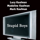 Picture for song 'Stupid Boys' by artist 'Uncle Was'