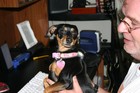 Picture for song 'The hurt will heal w:Harry Edgar.mp3' by artist 'Kit's demo's'