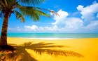 Picture for song 'Another Summer is Gone, Sad But True' by artist 'Klaatu (CT)'
