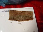 Picture for song 'Smoke Suttin B!TCH' by artist 'L4L'