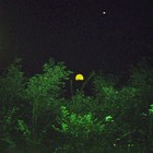 Picture for song 'fireflies moonrise' by artist 'labbor'