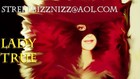 Picture for song 'streetbizznazz' by artist 'LADYTRUE-STREETBIZZNIZZ'