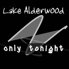 Picture for song 'Only Tonight' by artist 'Lake Alderwood'