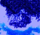 Picture for song 'The Stuff of Dreams' by artist 'Larry Ludwick'
