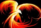 Picture for song 'Phoenix' by artist 'LDV Beats'
