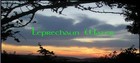 Picture for song 'Morrisons Set.' by artist 'Leprechaun Water'