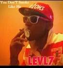 Picture for song 'LEVL7 - You Don'T Smoke Like Me WEED TUNES ALBUM' by artist 'LevL7'