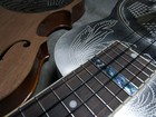 Picture for song 'Shut up and play your Uke' by artist 'Lightnin Bug'