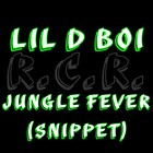 Picture for song 'Jungle Fever (Snippet)' by artist 'Lil D Boi'