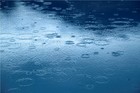 Picture for song 'Rain' by artist 'Lisa Crum'