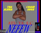 Picture for song 'NEFEW FREESTYLE' by artist 'LIVIDBEATZ'