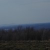Picture for song 'Büzbit' by artist 'lommognon'