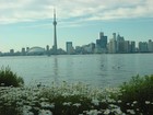 Picture for song 'Summertime' by artist 'Loonie Bones'