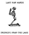 Picture for song 'Black feathers' by artist 'Lost For Words (uk)'