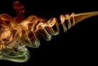 Picture for song 'Smokin'' by artist 'Lou Genius'