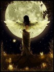 Picture for song 'Soul Seeker' by artist 'Lucidamy'