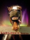 Picture for song 'Lucifer´s Horse' by artist 'Lucifers Horse'