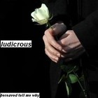 Picture for song 'bereaved tell me why' by artist 'ludicrous'