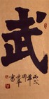 Picture for song 'Invisible Warrior' by artist 'Luxation'
