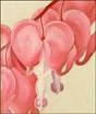 Picture for song 'The Bleeding of my heart' by artist 'LVOS'