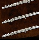 Picture for song 'dangerous flutes' by artist 'LYTEYEAR PRODUCTIONS VA'