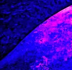 Picture for song 'GIRL YOU KNOW HOW--TO MELT MY BLUES' by artist 'Mackie Humphries'