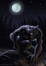 Picture for song 'Werewolf' by artist 'Mack Jones'