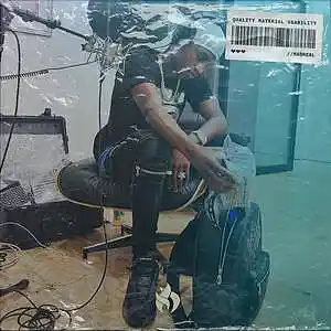 Picture for song 'Never Forever' by artist 'MadReal'