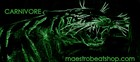 Picture for song 'Carnivore - www.maestrobeatshop.com' by artist 'MAESTRO THE BEAT MAKER'