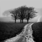 Picture for song 'Shadow Noise.mp3' by artist 'MAKLIP BEATS'