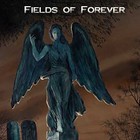 Picture for song 'Fields of Forever - 'Live' Version' by artist 'Mark Kaufman'