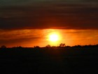 Picture for song 'Too Much, To Forget' by artist 'Marshall Williams'