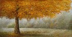 Picture for song 'Indian Summer' by artist 'Matt Gamble'