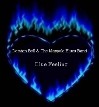 Picture for song 'Yesterday's Love' by artist 'Maypole Blues Band'