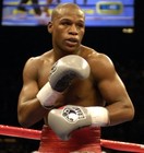 Picture for song 'Fight Night.mp3' by artist 'MDTtheBEAST'