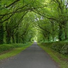 Picture for song 'The Path' by artist 'MD(ub)B (M DUB BEATS)'
