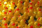 Picture for song 'yellow' by artist 'MecKropono'