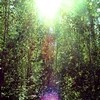 Picture for song 'glimpses of light' by artist 'Merlin McBain'