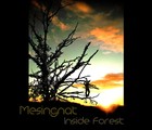 Picture for song 'Citronella Sparks' by artist 'Mesingnat'