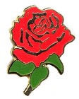 Picture for song 'The Red Rose' by artist 'Metaform'