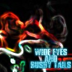 Picture for song 'fallen star 203812' by artist 'M I C Aka The Rockford Prophet'