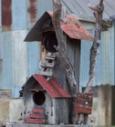 Picture for song 'Little country town' by artist 'Mick Gentry'